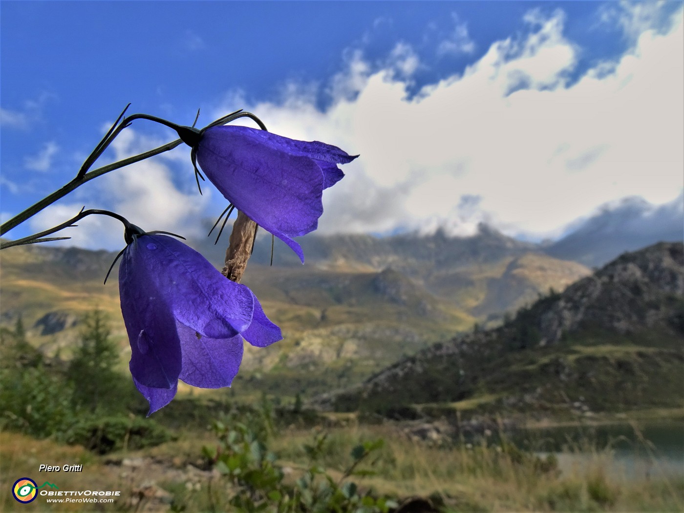 19 Cmapanule con vista verso i Diavoli coperti dalle nuvole mattutine.JPG